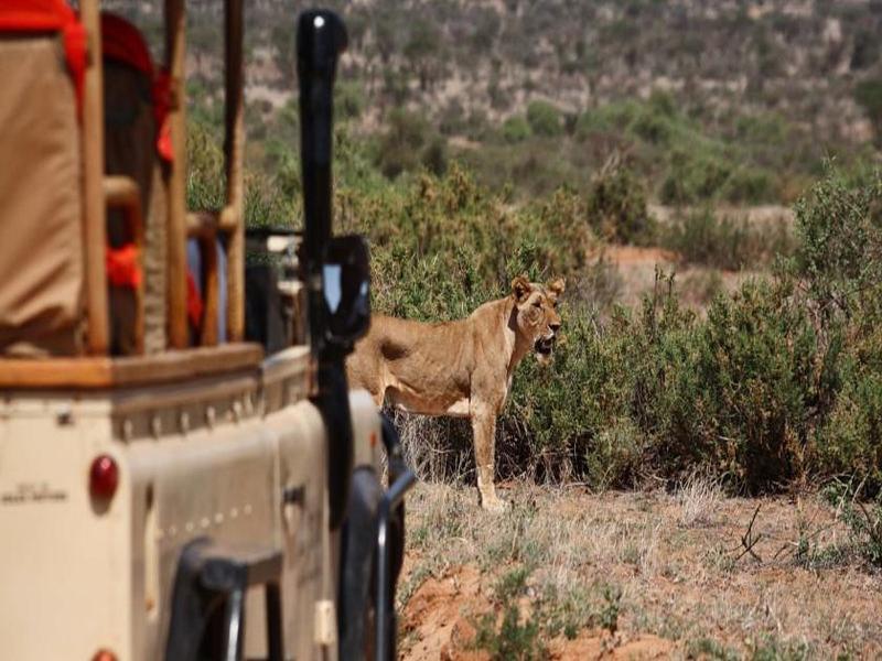 הוילה Saruni Samburu מראה חיצוני תמונה