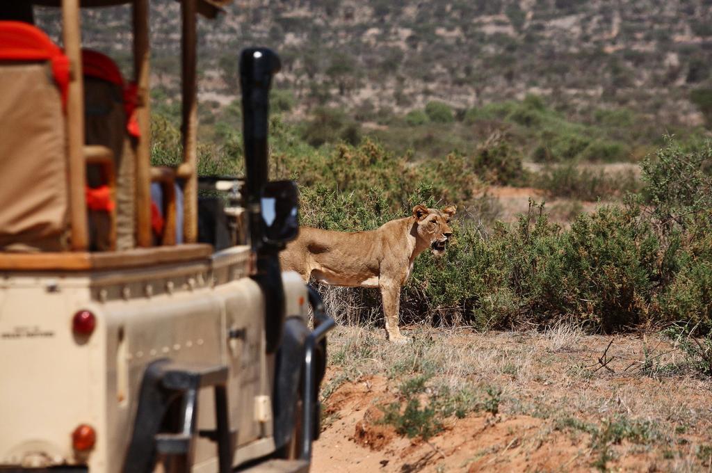 הוילה Saruni Samburu מראה חיצוני תמונה