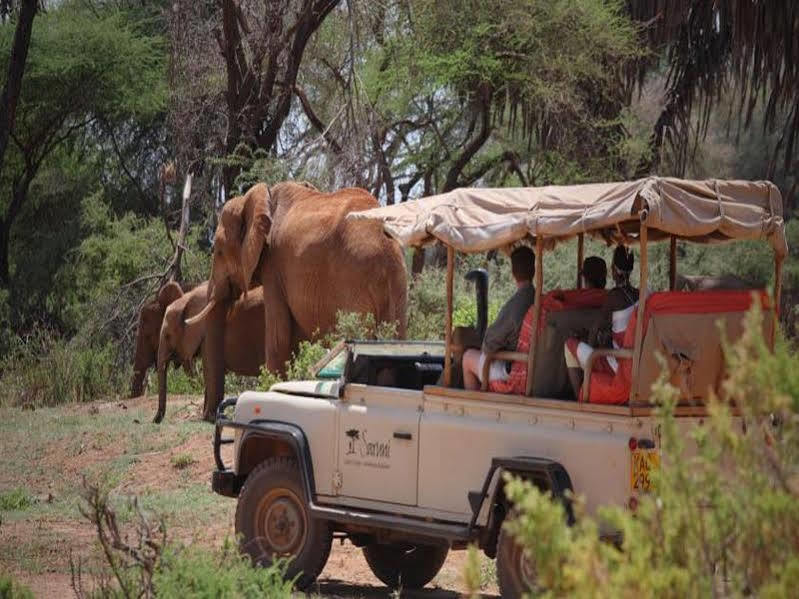 הוילה Saruni Samburu מראה חיצוני תמונה